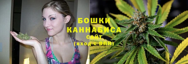бошки Алексин