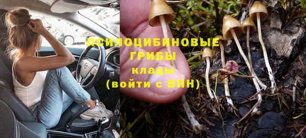 бошки Алексин