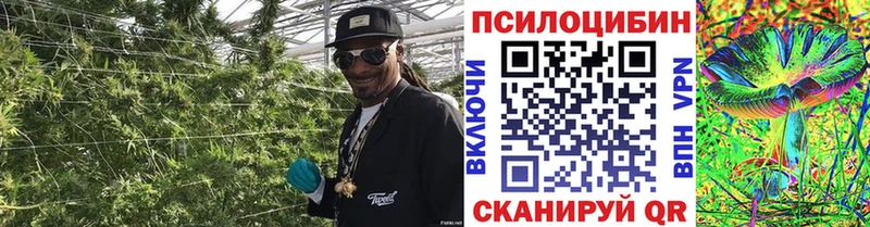 Галлюциногенные грибы GOLDEN TEACHER  как найти   Клин 