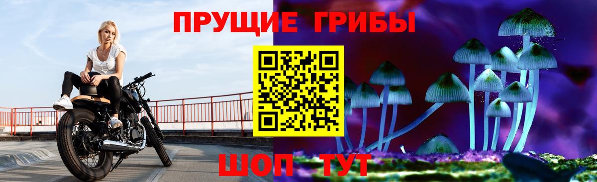 Галлюциногенные грибы мицелий  Псилоцибиновые грибы мицелий  Вход с VPN  Клин 