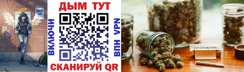 Каннабис план продажа наркотиков Клин